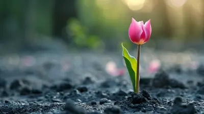 Harnessing the Power of Mindfulness to Build Resilience