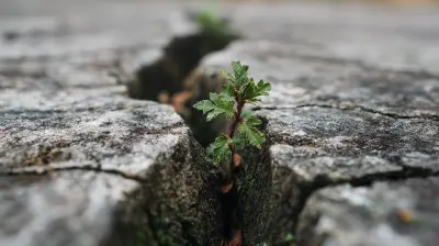 Resilience and Stress: How to Turn Pressure Into Growth