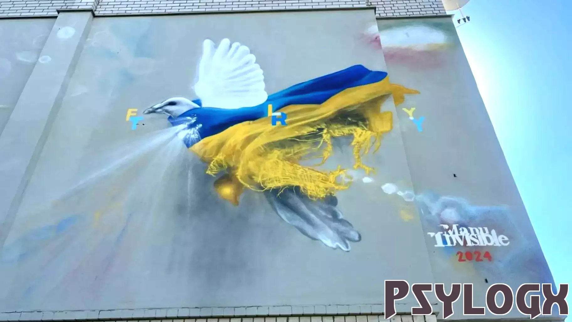 Bucha's Innovative Mental Health Initiative Emerges from Tragedy