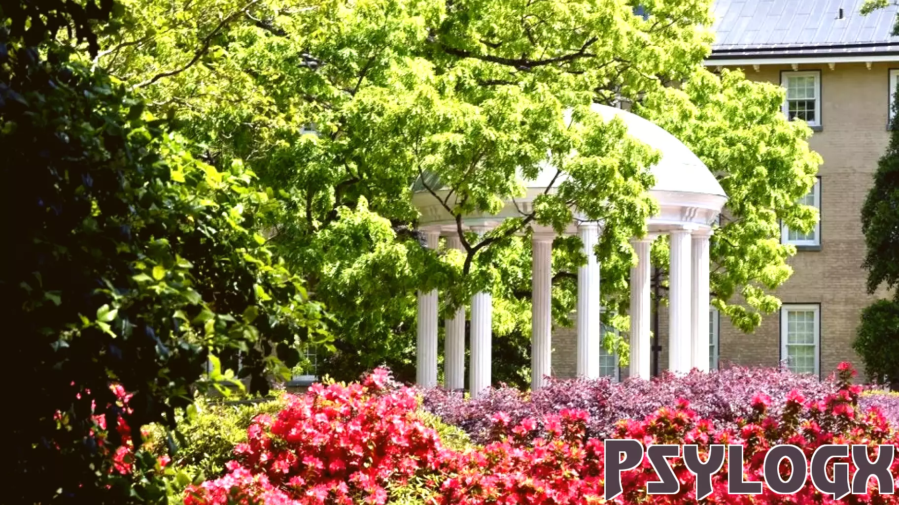 Clinical psychology students make a match - College of Arts and Sciences