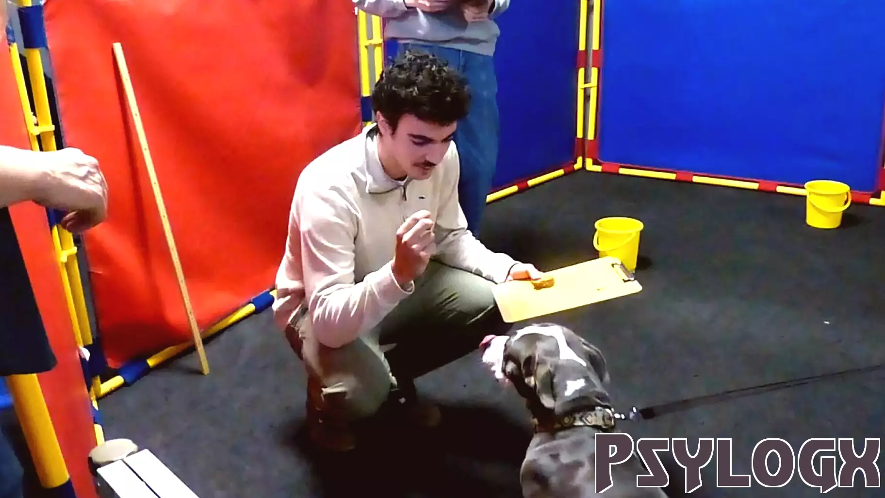 Dogs Take Part in Behavior Studies at emBARK