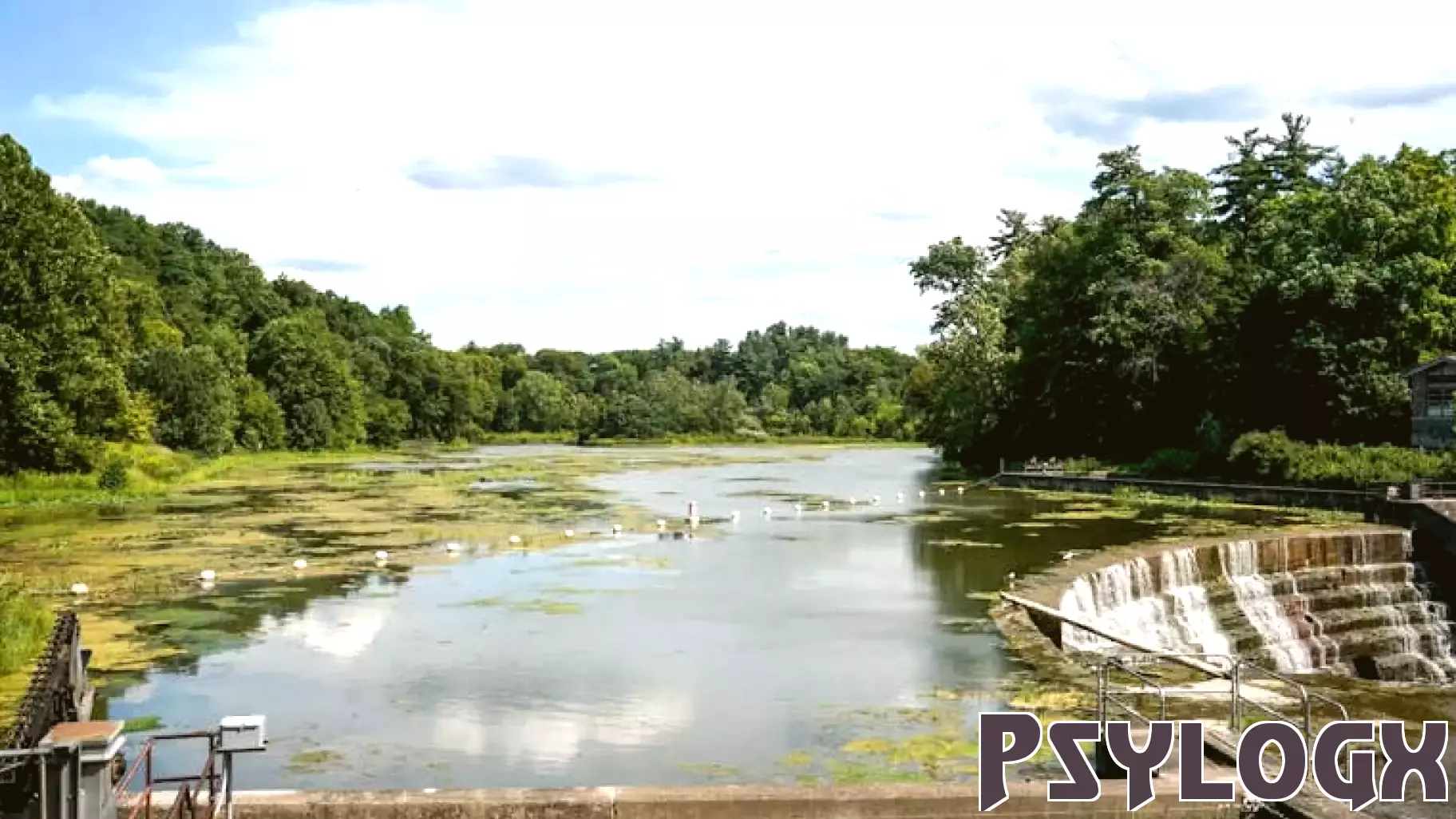 How A Cornell Psychology Professor Studies Early Childhood to Combat Climate Change