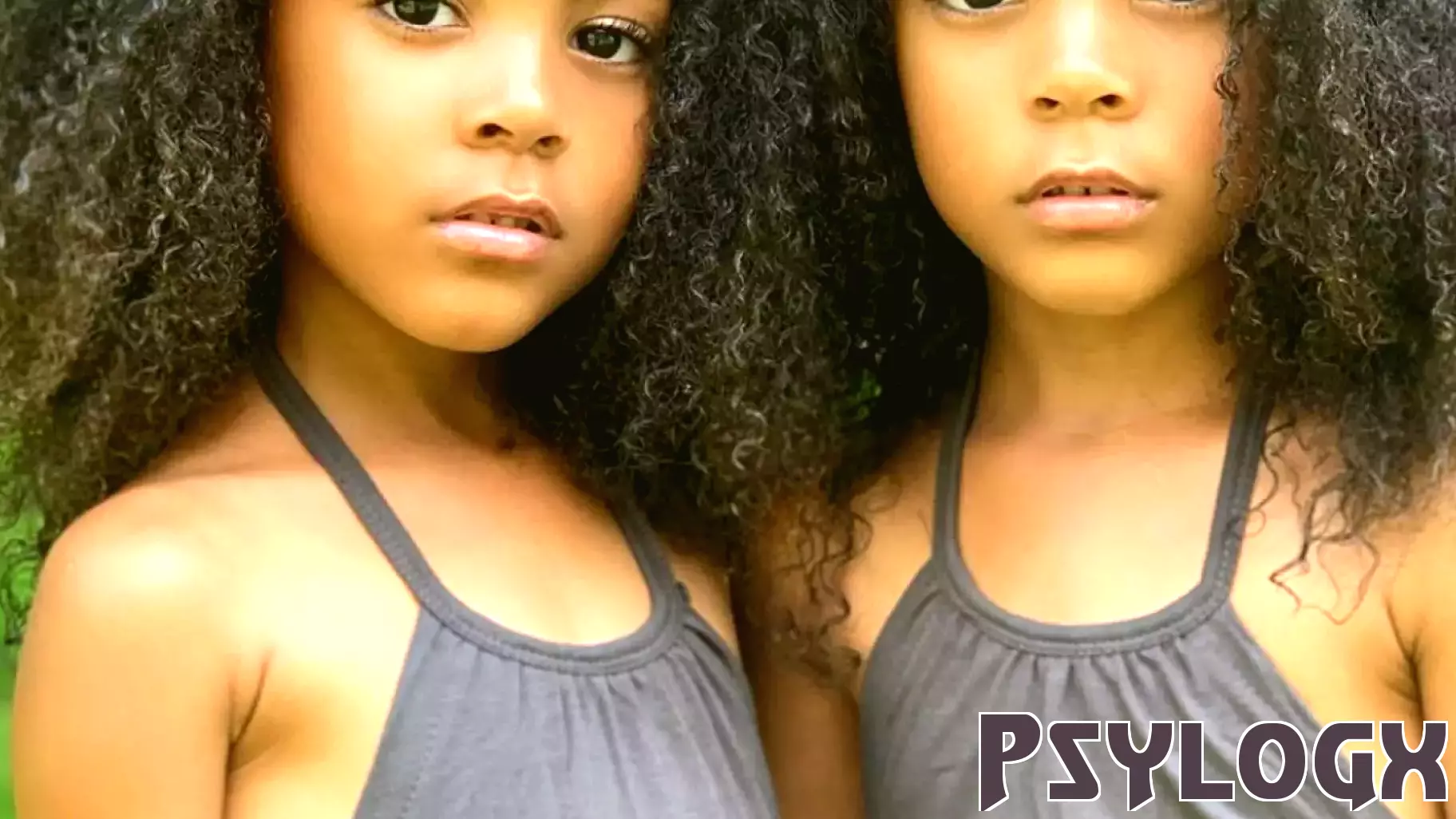 Is Hoarding in Our Genes? What a Landmark Twin Study Reveals