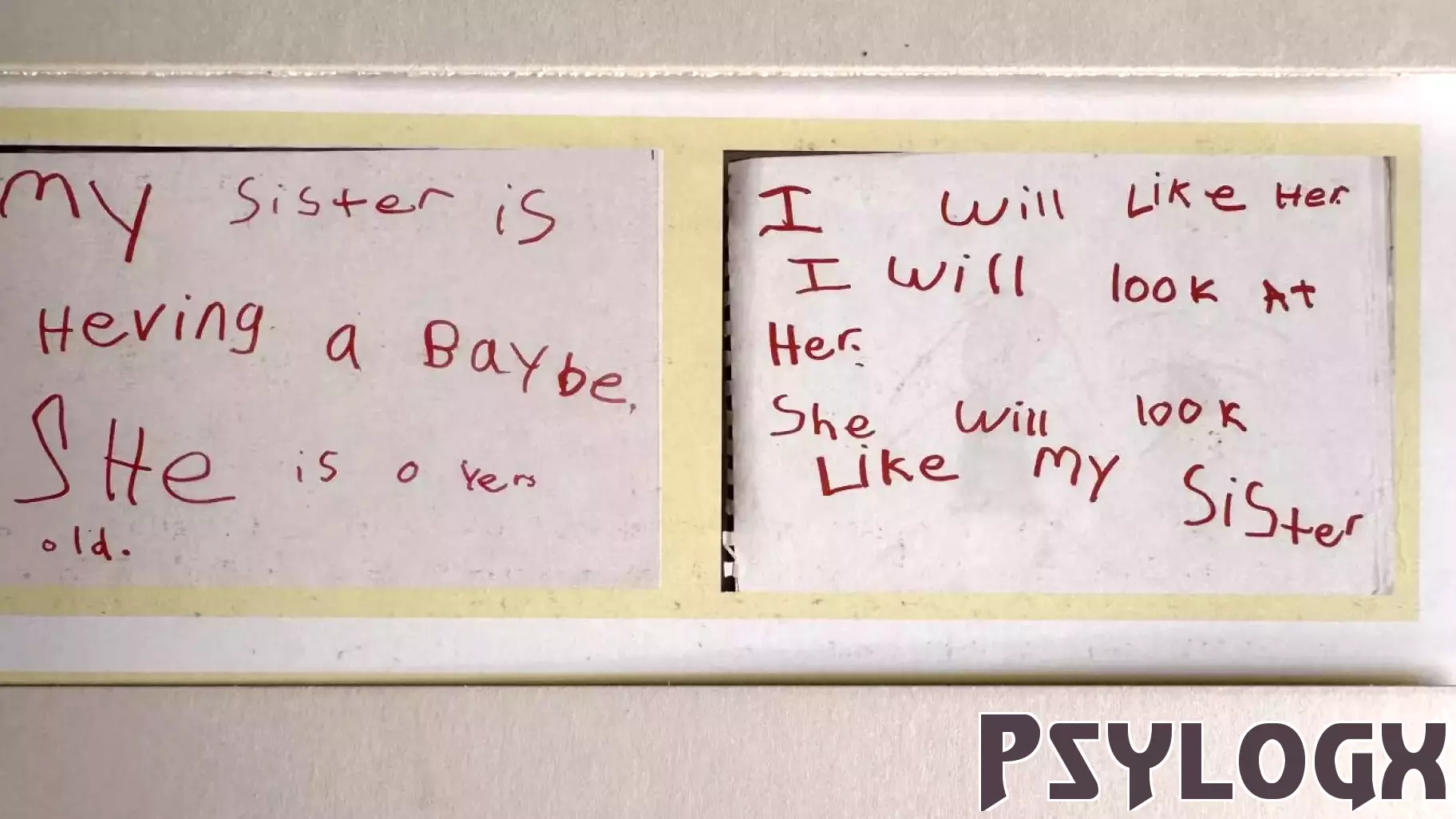 Lessons from Kindergarten: A Behavioral Scientist's Journey to Success