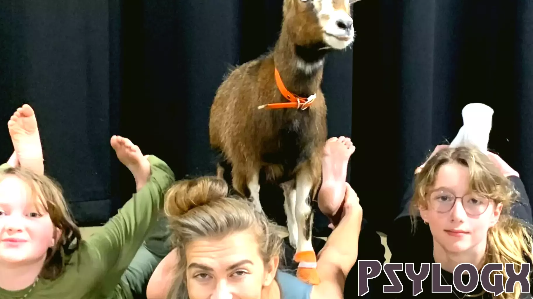 Personal Perspective: Goat Yoga—It's Real. It's in Los Angeles. Here's What It Taught Me.