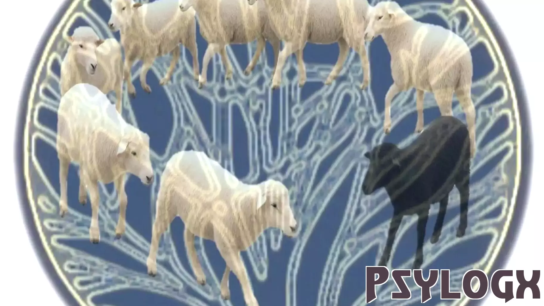 The Distinction Between Cultural Knowledge and Genetic Inheritance