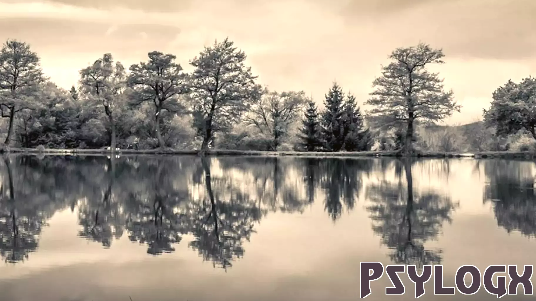 The Driving Force of Self-Motivation in Unlocking Potential