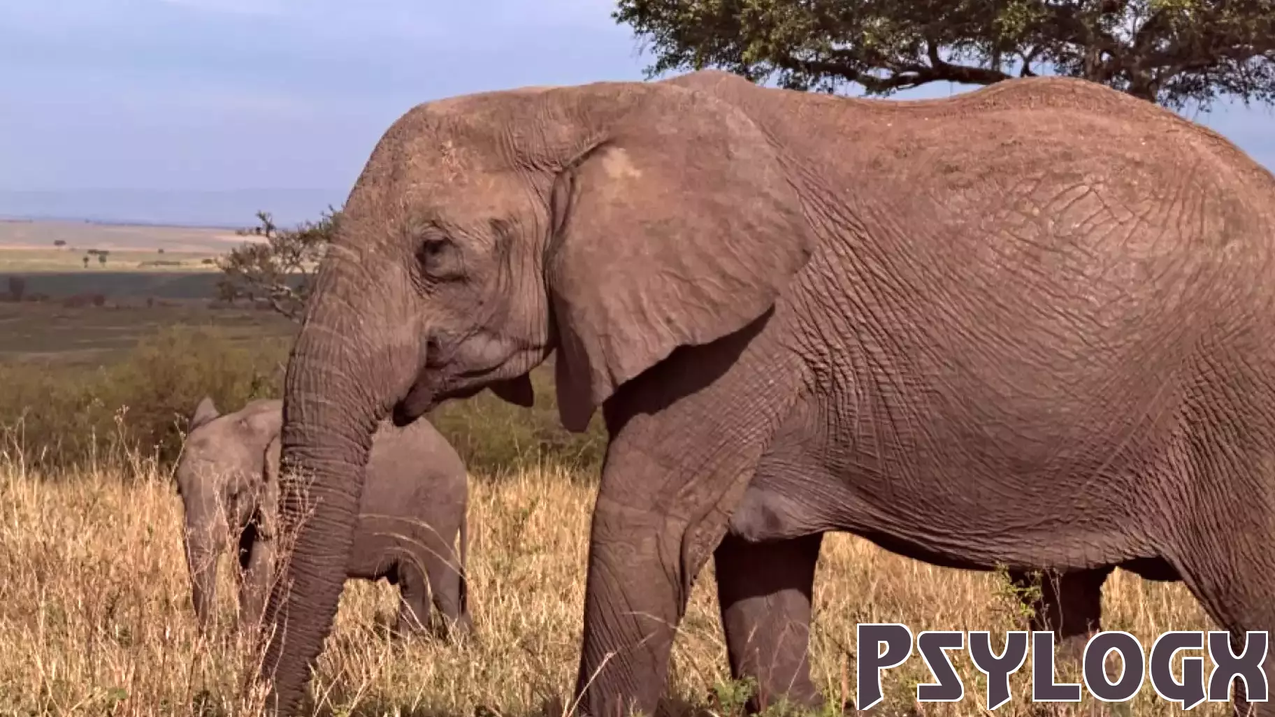 The Hidden Keys to Climate Action Lie Within Our Minds