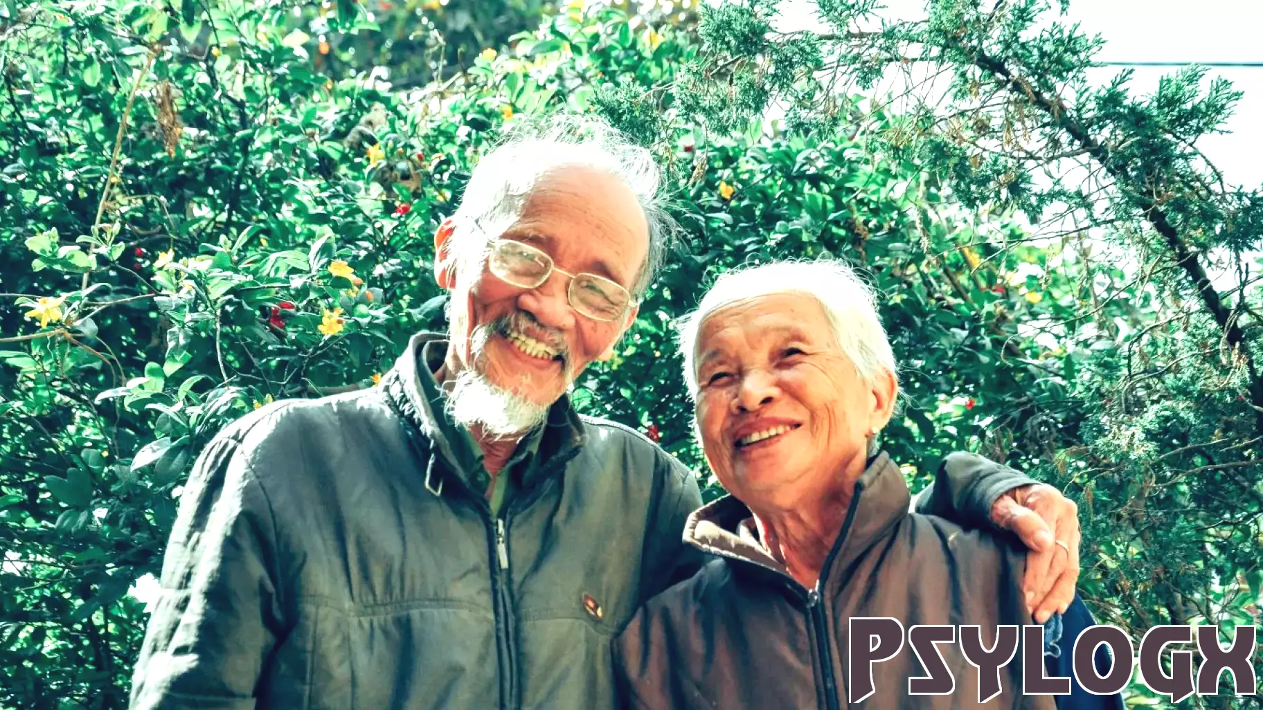 The Quest for a Meaningful Life in Aging