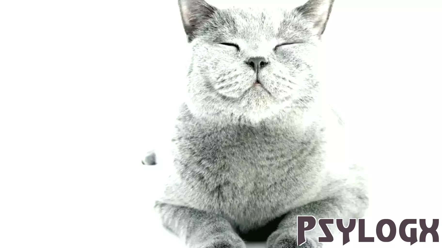 The Quest for Meaning: A Double-Edged Sword