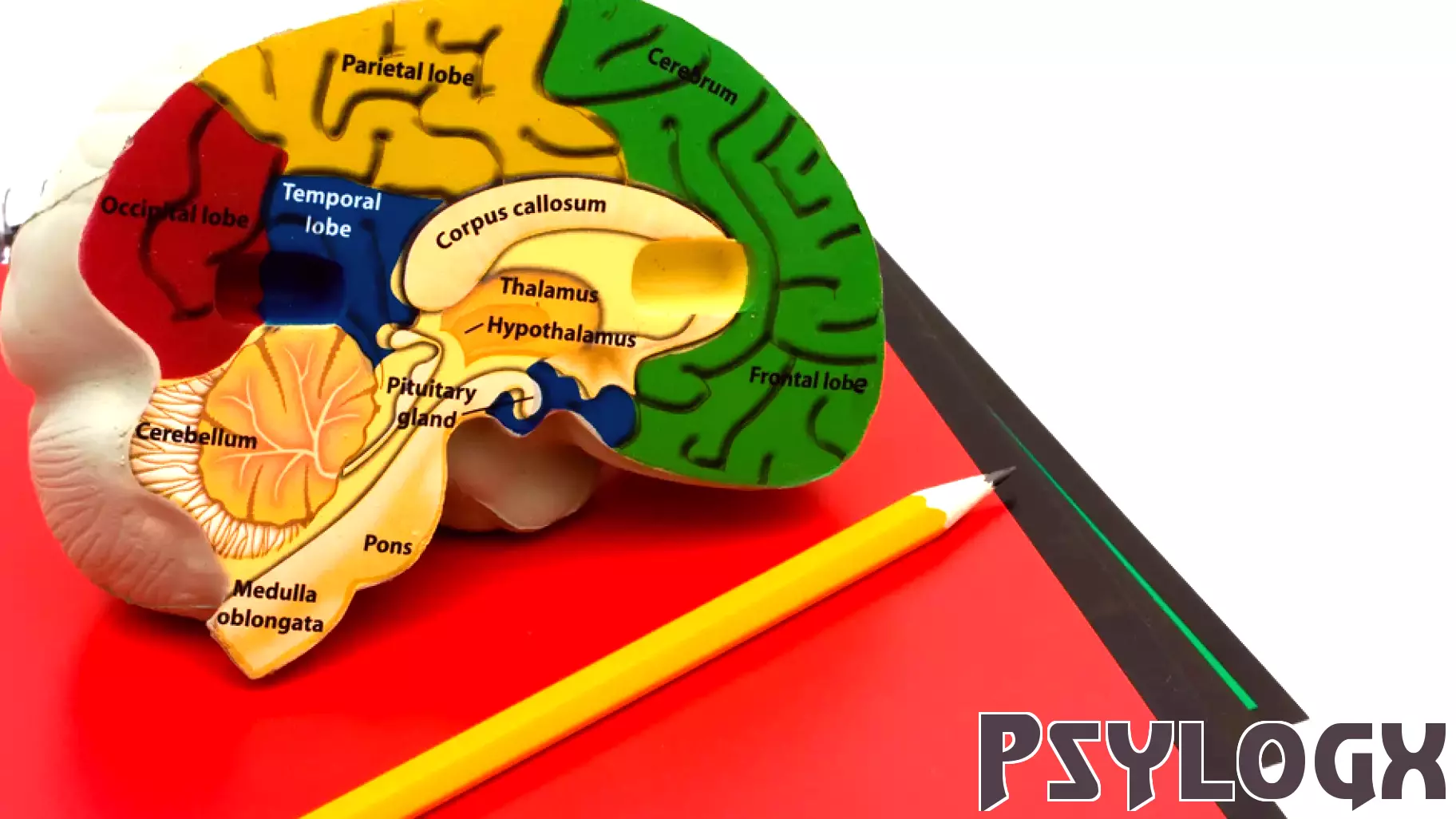 The Role of Psychology in Perpetuating Educational Inequality