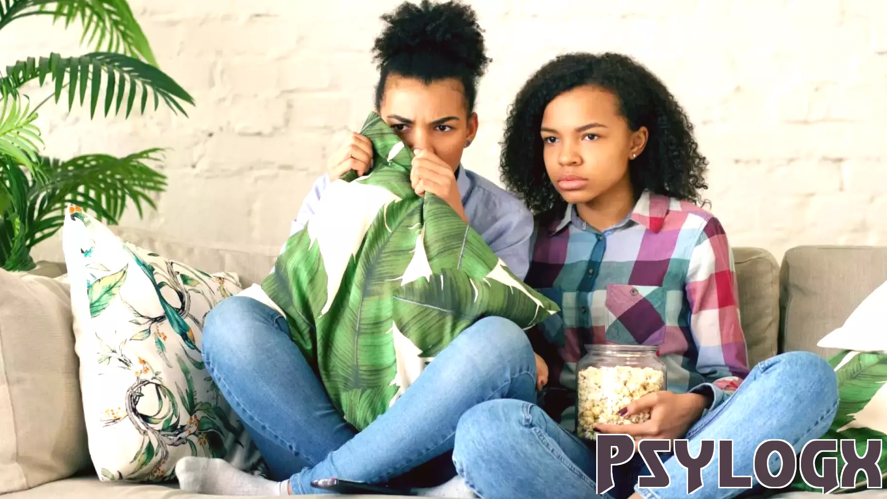 The Unexpected Connection Between High IQ Societies and Reality Television