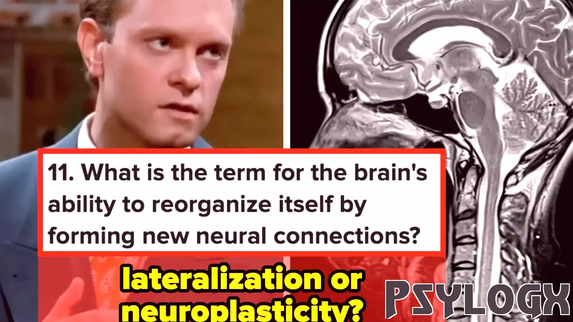 Understanding Short-Term Memory: The 20-30 Second Phenomenon