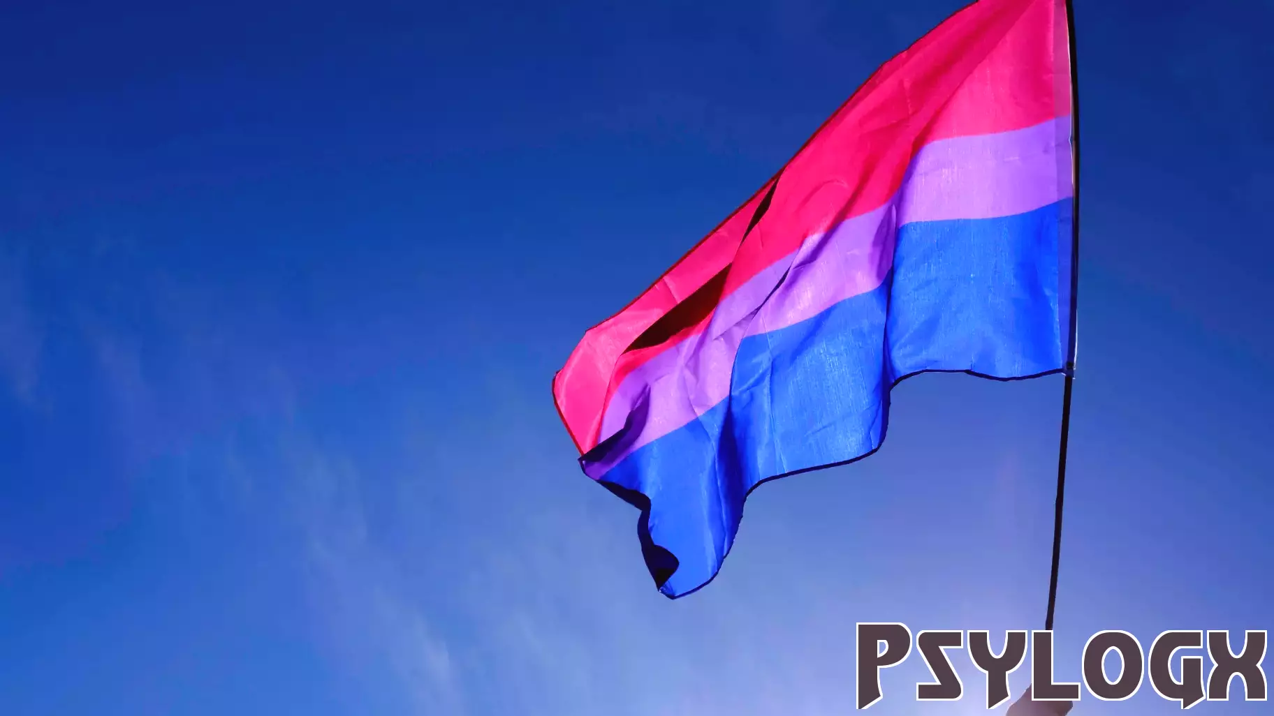 Understanding the Psychological Biases Behind Bi Erasure