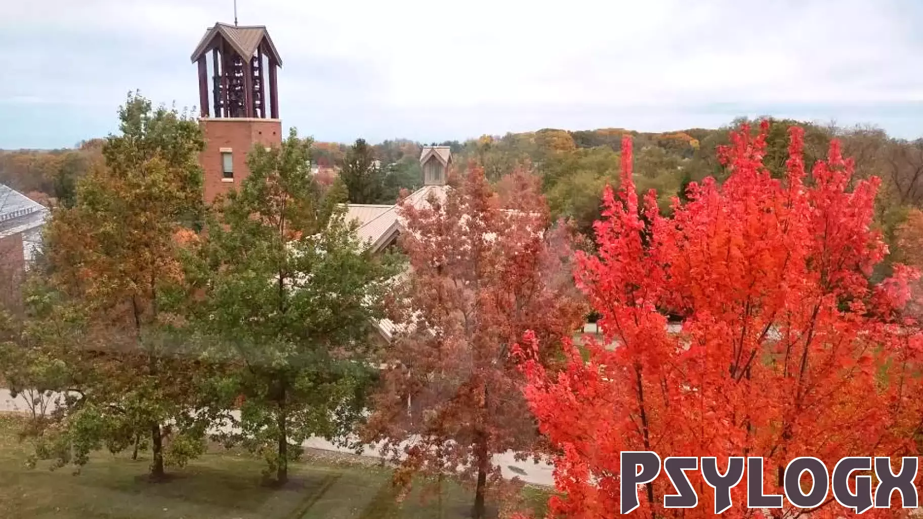 University Libraries launches Penn State Behrend student psychology journal