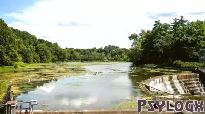 How A Cornell Psychology Professor Studies Early Childhood to Combat Climate Change