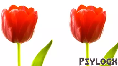 Staying Genuine: A Key to Preventing Relationship Burnout