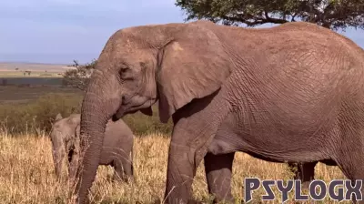 The Hidden Keys to Climate Action Lie Within Our Minds