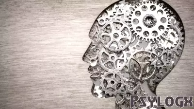The Intricate Dance of Brain and Mind in Decision-Making