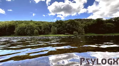 The Rise of Eco-Anxiety: A New Reality