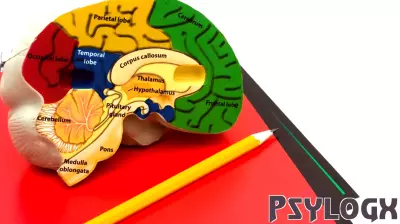 The Role of Psychology in Perpetuating Educational Inequality