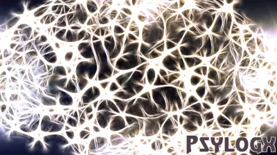 Understanding Brain Health: New Insights on Dementia Risks