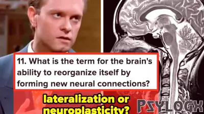 Understanding Short-Term Memory: The 20-30 Second Phenomenon