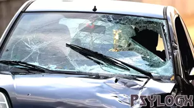 Understanding the Psychology Behind Recent Car Attacks in Germany