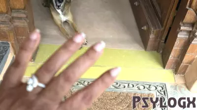What Are Dogs Reading in Human Gestures Like the Open Palm?